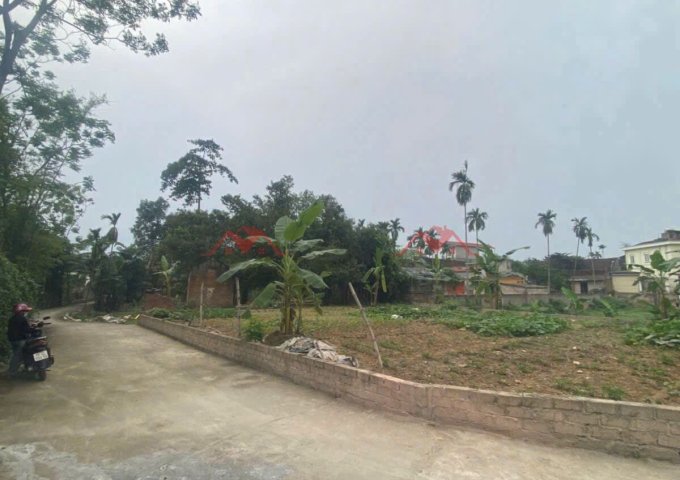 CHÍNH CHỦ BÁN LÔ ĐẤT 84,5M TẠI NAM HÀI-NAM PHƯƠNG TIẾN-CHƯƠNG MỸ-HÀ NỘI