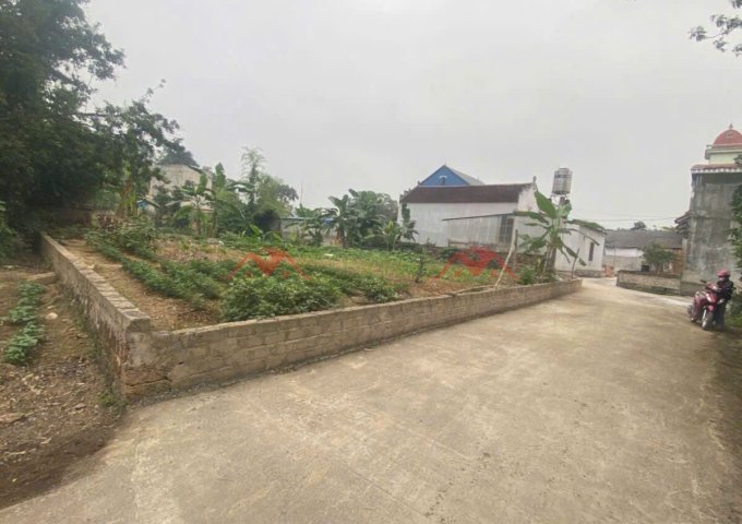 CHÍNH CHỦ BÁN LÔ ĐẤT 84,5M TẠI NAM HÀI-NAM PHƯƠNG TIẾN-CHƯƠNG MỸ-HÀ NỘI