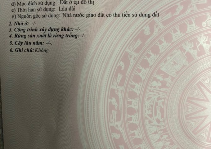 BÁN ĐẤT CHÍNH CHỦ – GIÁ TỐT GẦN PHỐ CỔ HỘI AN