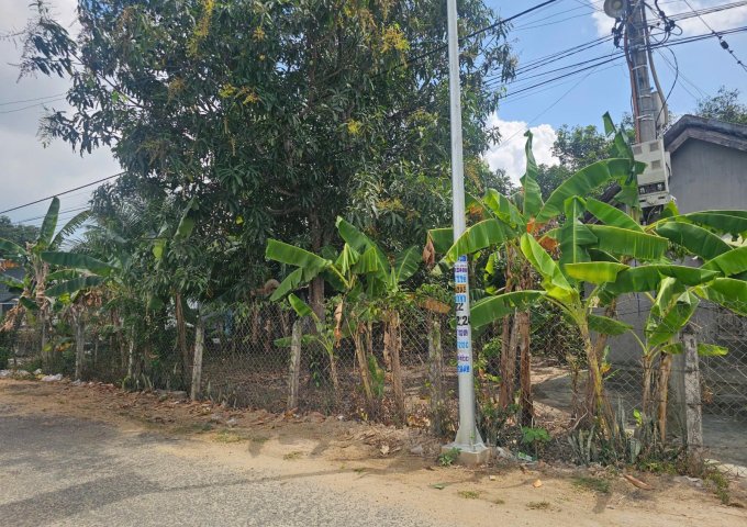 BÁN LÔ ĐẤT 471m² CHÍNH CHỦ TẠI CAM TÂN, CAM LÂM – GIÁ TỐT, CÓ THƯƠNG LƯỢNG.