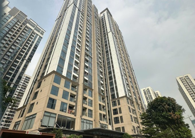 ► Hàng cực hiếm ace nhà đầu tư nhanh tay ah: Căn chung cư 1 ngủ+ ở Masterise M2, Vinhome Ocean Park, Mas B: