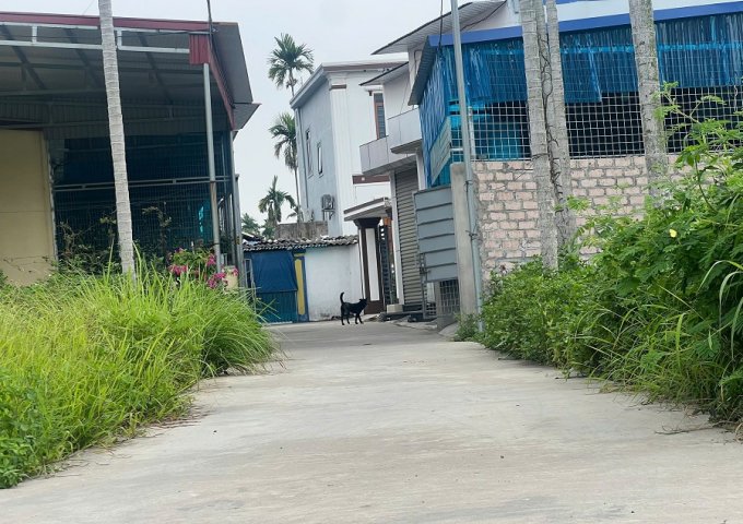 Chỉ nhô 1 tỷ có ngay lô đất ô tô 7 chỗ vào tận đất, vị trí đẹp tại Thiên Hương, TP Thuỷ Nguyên cách đường 203 chỉ khoảng 100m