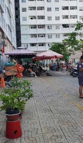 MẶT BẰNG ĐẸP – GỬI GẮM TÂM HUYẾT