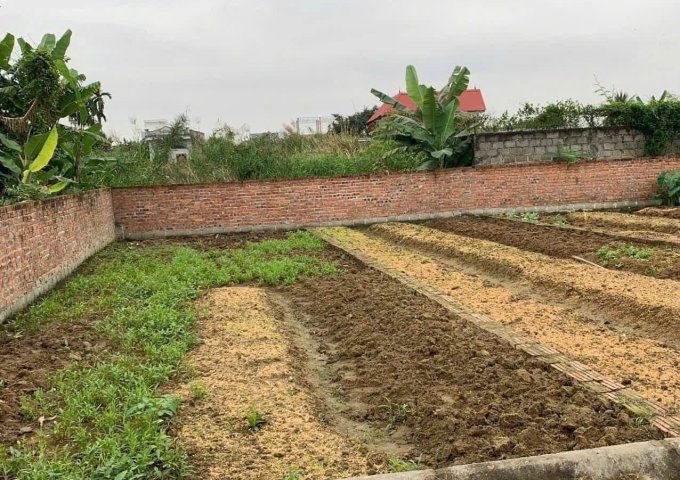 CẦN TIỀN BÁN GẤP LÔ ĐẤT 62 M THÔN KIM CHÂM - XÃ MỸ ĐỨC - AN LÃO - TP HẢI PHÒNG-0986009598