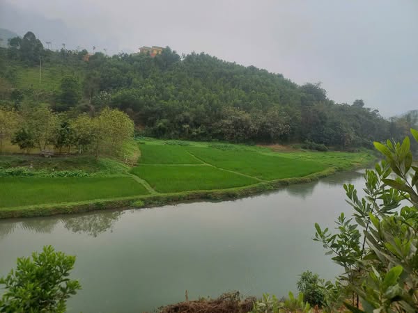 Chính chủ em cần bán 10.000m đất đẹp, giá tốt, vị trí đắc địa tại Kim Bôi, Hoà Bình. 0969446789