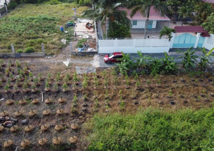 Bán Lô Đất Nghỉ Dưỡng Đường Vườn Thơm - Xã Bình Lợi - Huyện Bình Chánh