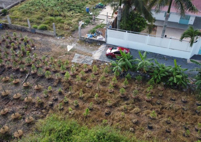 Bán Lô Đất Nghỉ Dưỡng Đường Vườn Thơm - Xã Bình Lợi - Huyện Bình Chánh