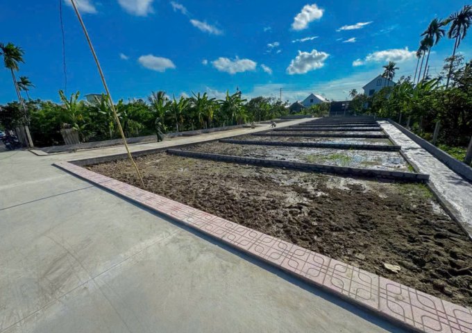 ► CƠ HỘI VÀNG SỞ HỮU ĐẤT NỀN TẠI ÍCH TRANG – BÁT TRANG – AN LÃO – HẢI PHÒNG!