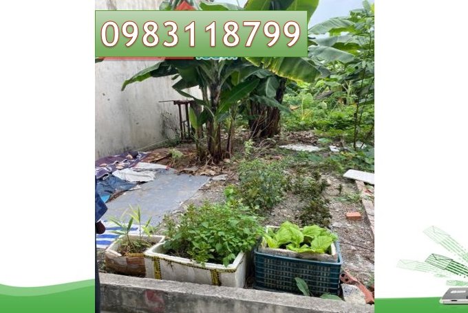 ⭐Chính chủ cần bán nhanh lô đất tại Quỳnh Cư, Hồng Bàng, Hải Phòng; 1,3 tỷ, 0983118799