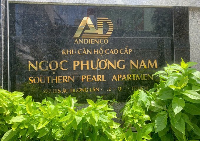 CHÍNH CHỦ SANG LẠI HD CĂN HỘ CAO CẤP VIÊN NGỌC PHƯƠNG NAM, QUẬN 8