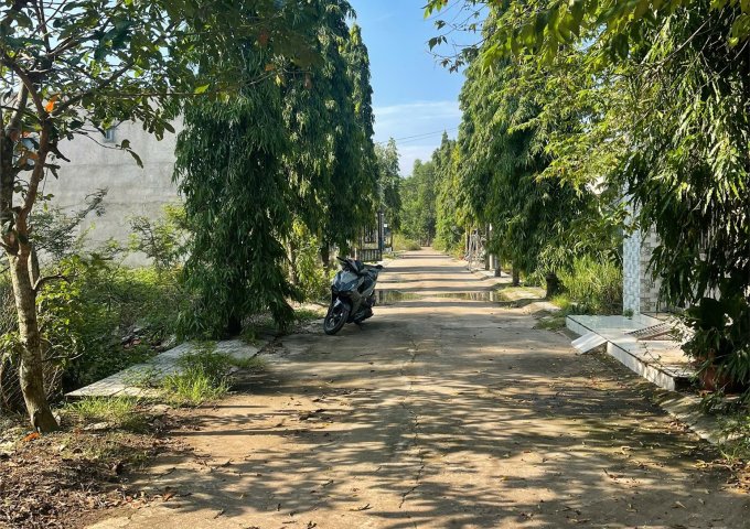 🌟 Lô đất đẹp xã An Viễn, Đồng Nai – sổ riêng – giá 850 triệu!