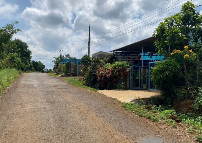 CHÍNH CHỦ BÁN ĐẤT THỔ CƯ - MẶT TIỀN 12 MÉT TẠI KHÁNH THƯỢNG ,LỘC ĐỨC ,BẢO LÂM