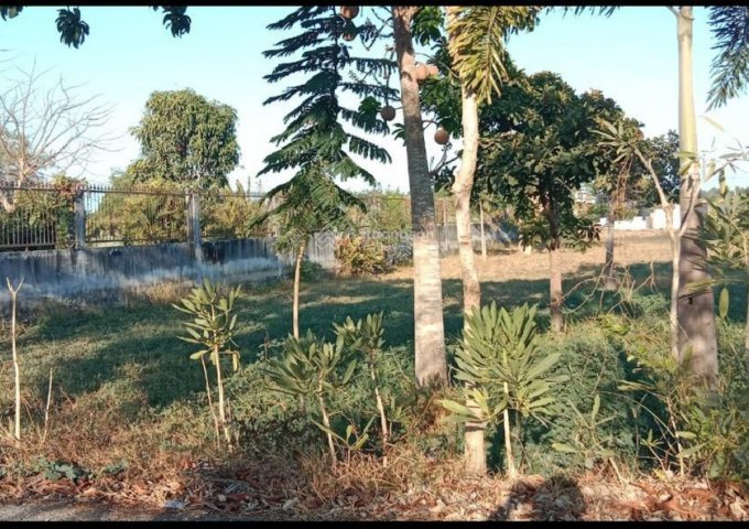 ► CHÍNH CHỦ CẦN BÁN LÔ ĐẤT 1.000M² MẶT TIỀN ĐƯỜNG NHỰA – XÃ HƯNG LONG, BÌNH CHÁNH