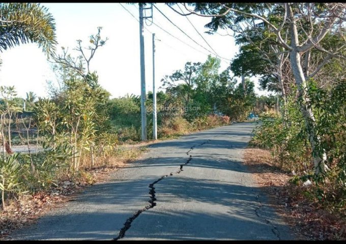 ► CHÍNH CHỦ CẦN BÁN LÔ ĐẤT 1.000M² MẶT TIỀN ĐƯỜNG NHỰA – XÃ HƯNG LONG, BÌNH CHÁNH