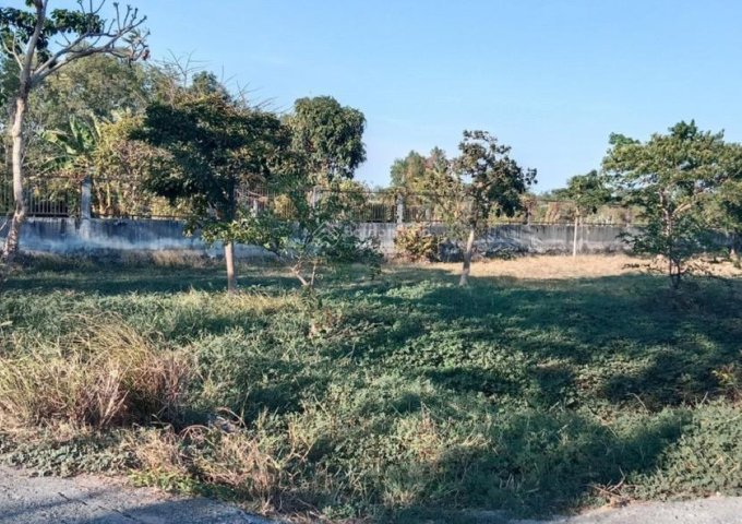 ► CHÍNH CHỦ CẦN BÁN LÔ ĐẤT 1.000M² MẶT TIỀN ĐƯỜNG NHỰA – XÃ HƯNG LONG, BÌNH CHÁNH