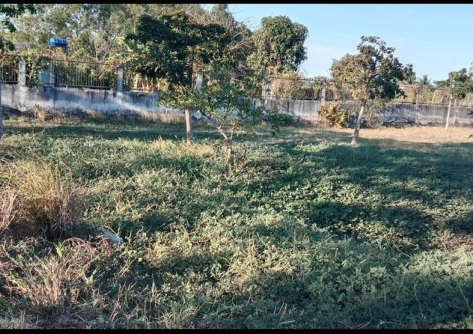 ► CHÍNH CHỦ CẦN BÁN LÔ ĐẤT 1.000M² MẶT TIỀN ĐƯỜNG NHỰA – XÃ HƯNG LONG, BÌNH CHÁNH