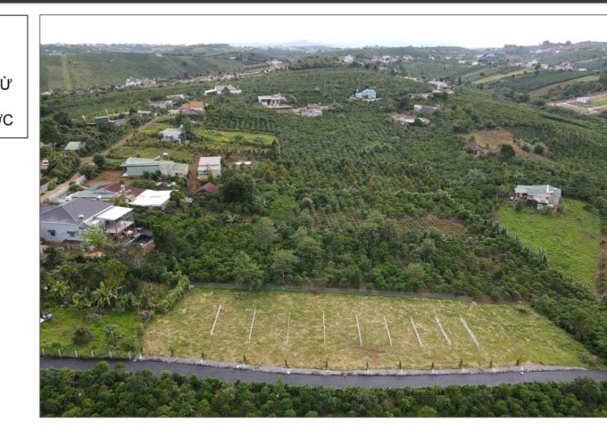 ĐẤT ĐẸP LỘC QUẢNG - BẢO LÂM - LÂM ĐỒNG