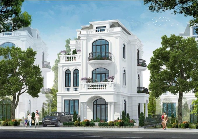 Chính chủ bán lô đất biệt thự 180m² - Giá chỉ 4,2 tỷ! Tại dự án Ecohome Tràng Duệ