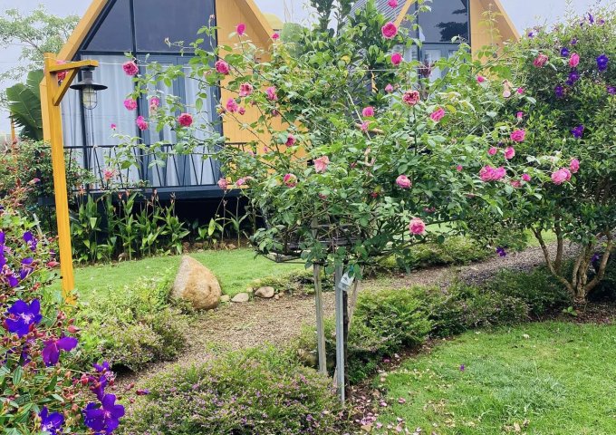 Bán đất tại Phường 2, Bảo Lộc,  Lâm Đồng diện tích 165m2  giá 990,000 Triệu