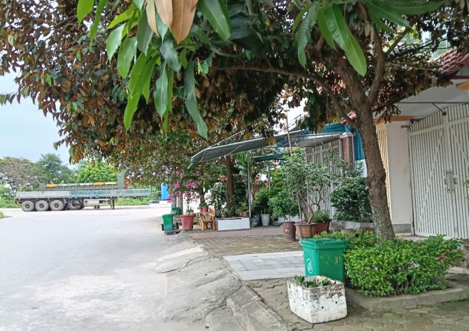 ► BÁN NHÀ VƯỜN ĐẸP – NAM ĐÔNG, TRẦN HƯNG ĐẠO, P. NAM NGẠN, TP. THANH HÓA