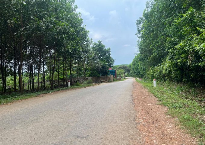 ► CHÍNH CHỦ CẦN BÁN 4 LÔ LIỀN KỀ