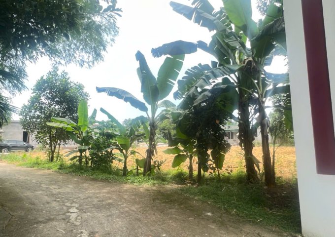 BÁN ĐẤT GẦN KHU CÔNG NGHIỆP TÂY HÀ TĨNH – THÔN TÂY SƠN, XÃ LƯU VINH SƠN