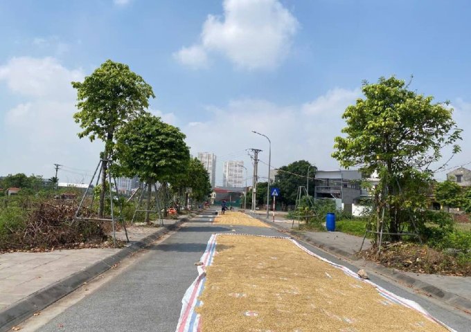 Lê Xá_Mai Lâm_Đông Anh_Đất 3 Thoáng Thông_ DT 56 M²_ MT 6,2M_ Giá Đầu Tư_ Ở Sướng