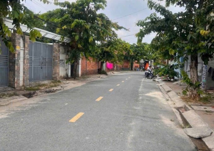 Bán nhà mặt tiền đường nhựa Thới Tam Thôn - Hóc Môn- TP HCM