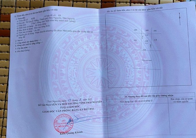 CHÍNH CHỦ CẦN BÁN LÔ BIỆT THỰ – LÀN 2 ĐƯỜNG BẮC SƠN KÉO DÀI, KĐT MIA FOREST, PHƯỜNG QUYẾT THẮNG, TP. THÁI NGUYÊN