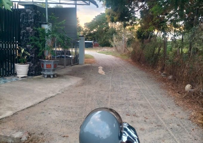 Chính chủ cần bán nhanh lô đất có khả năng sinh lời cao xã Lương Sơn huyện Ninh Sơn tỉnh Ninh Thuận