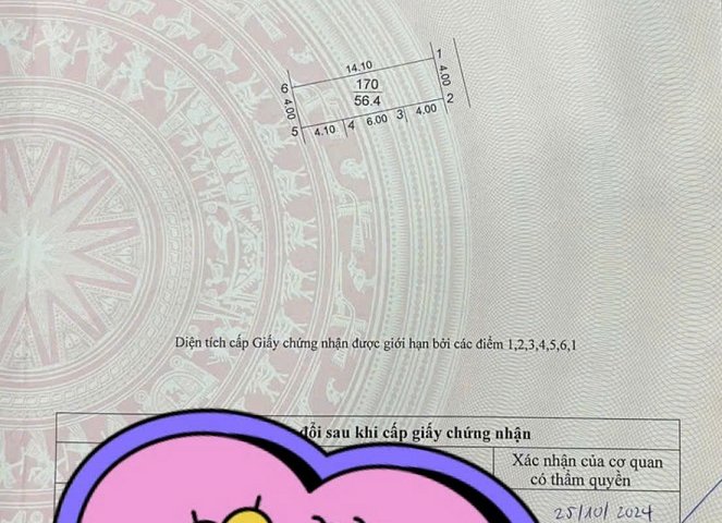 SIÊU PHẨM MẶT ĐƯỜNG XUÂN NỘN – CHÍNH CHỦ RA MẮT DUY NHẤT 1 LÔ 108.5M²