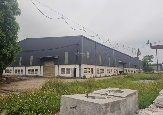 Chính Chủ Cho Thuê Nhà Xưởng + Văn Phòng Tại KCN Bắc Vinh Số 157 Đường Đặng Thai Mai, Hưng Đông, Vinh, Nghệ An