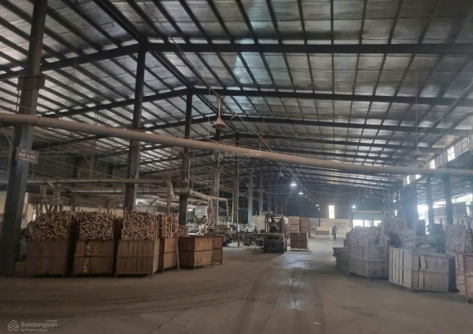 Chính Chủ Cho Thuê Nhà Xưởng + Văn Phòng Tại KCN Bắc Vinh Số 157 Đường Đặng Thai Mai, Hưng Đông, Vinh, Nghệ An