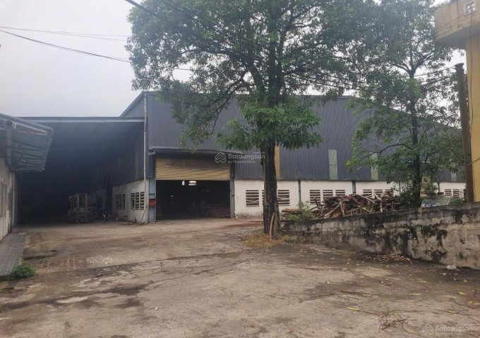 Chính Chủ Cho Thuê Nhà Xưởng + Văn Phòng Tại KCN Bắc Vinh Số 157 Đường Đặng Thai Mai, Hưng Đông, Vinh, Nghệ An