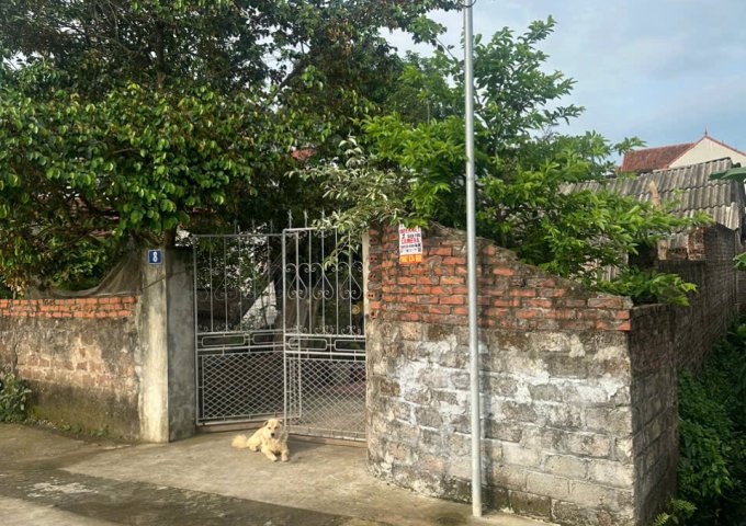 ► CHÍNH CHỦ CẦN BÁN LÔ ĐẤT ONT 188 – DOAN HẠ, THANH THỦY, PHÚ THỌ