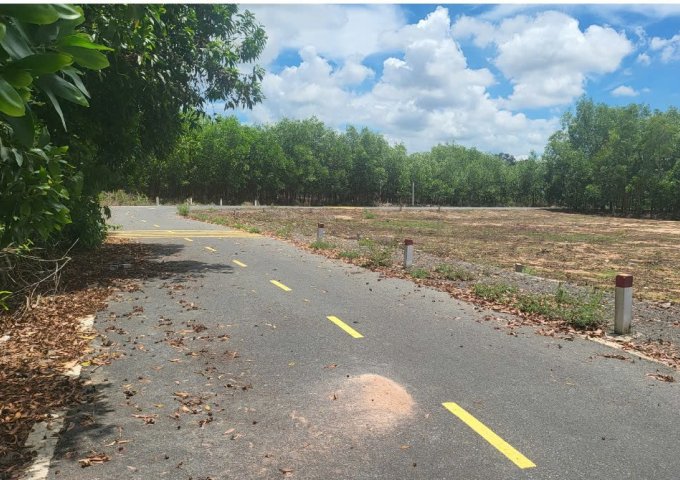 ► BÁN ĐẤT MẶT TIỀN ĐƯỜNG ĐẸP – XÃ LONG TÂN, HUYỆN ĐẤT ĐỎ, BÀ RỊA - VŨNG TÀU