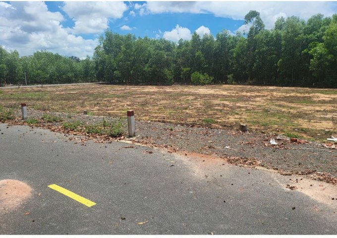 ► BÁN ĐẤT MẶT TIỀN ĐƯỜNG ĐẸP – XÃ LONG TÂN, HUYỆN ĐẤT ĐỎ, BÀ RỊA - VŨNG TÀU