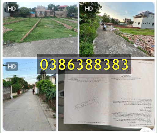 ⭐Bán đất vị trí đẹp tại Tiên Dược (cũ), Sóc Sơn, Hà Nội, 0386388383