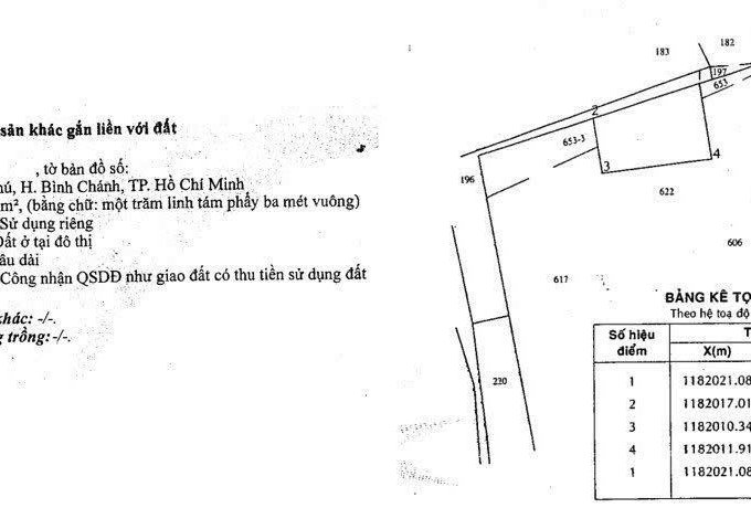 Bán Đất Thổ Cư Chính Chủ – Xây Biệt Thự – Sổ Hồng Riêng - Đường Xương Cá 1, Xã Phong Phú, Bình Chánh, HCM