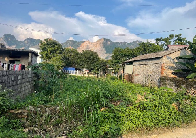 CHÍNH CHỦ BÁN ĐẤT THỔ CƯ TẠI XÃ LIÊN SƠN, HUYỆN LƯƠNG SƠN, TỈNH HÒA BÌNH