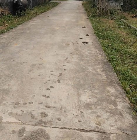 CHÍNH CHỦ BÁN LÔ ĐẤT ĐẸP – XÓM 21, NGHI VĂN, NGHI LỘC – NGHỆ AN