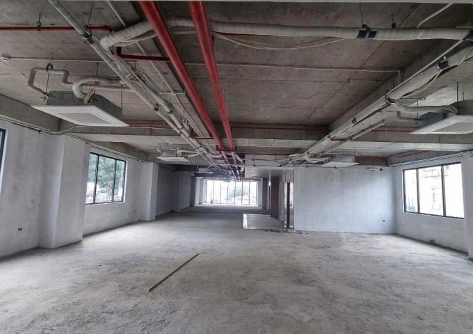 BÁN ĐẤT FULL THỔ CƯ 96M2 MẶT TIỀN ĐƯỜNG TỈNH 831, TÂN HƯNG, LONG AN – GIÁ CHỈ 650 TRIỆU