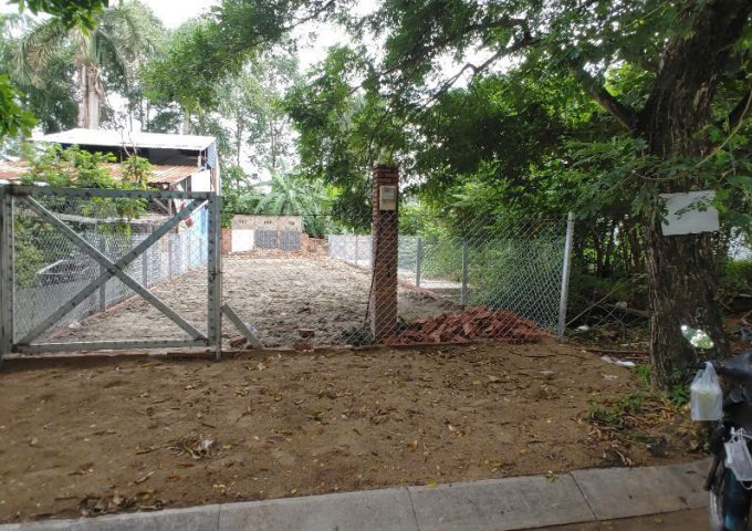 BÁN ĐẤT PHƯỜNG TRƯỜNG THẠNH, TP. THỦ ĐỨC (QUẬN 9 CŨ)