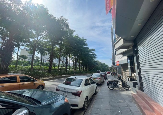 Chính chủ cho thuê nhà 446 Đường Bưởi, mặt đường 10m, 2 bên đều có vỉa hè to tràn ngập cây xanh