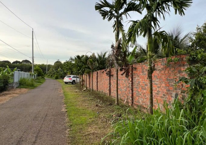 BÁN ĐẤT NHÀ VƯỜN SINH THÁI – CẠNH HỒ ĐÁ BÀNG – CHÂU ĐỨC, BRVT