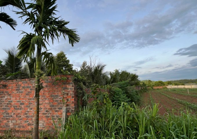 BÁN ĐẤT NHÀ VƯỜN SINH THÁI – CẠNH HỒ ĐÁ BÀNG – CHÂU ĐỨC, BRVT