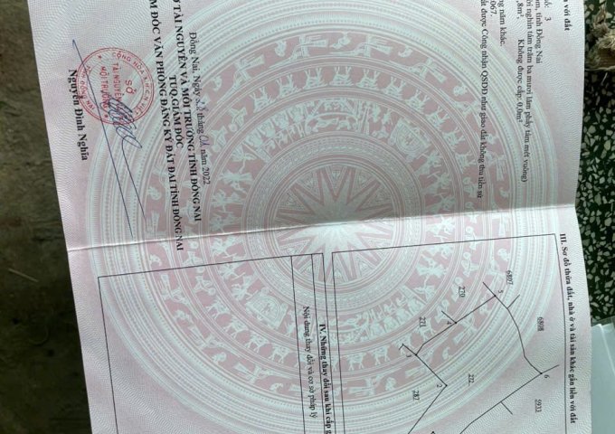 Chính Chủ Bán 10.800m2 Đất Nông Nghiệp Tại ẤP 6, An Viễn, Trảng Bom, Đồng Nai