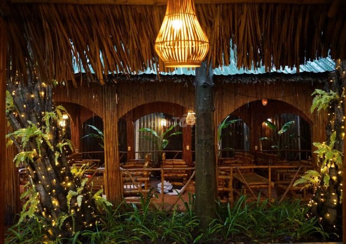 SANG NHƯỢNG GẤP NHÀ HÀNG - CAFE SÂN VƯỜN TẠI THỦ ĐỨC