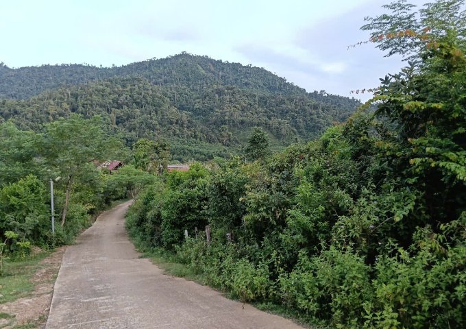 ► CẦN BÁN ĐẤT CHÍNH CHỦ - XÃ TƯ, ĐÔNG GIANG, QUẢNG NAM