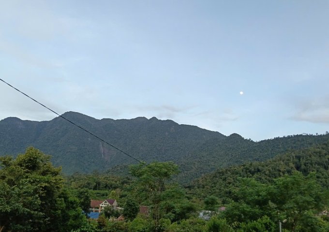 ► CẦN BÁN ĐẤT CHÍNH CHỦ - XÃ TƯ, ĐÔNG GIANG, QUẢNG NAM